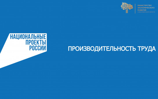 НАЦИОНАЛЬНЫЙ ПРОЕКТ «ПРОИЗВОДИТЕЛЬНОСТЬ ТРУДА»