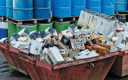 С 1 сентября вступили в силу новые правила регулирующие правила складирования отходов, образовавшихся при уходе за древеснокустарниковыми посадками