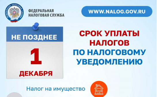 Срок уплаты налогов по налоговому уведомлению